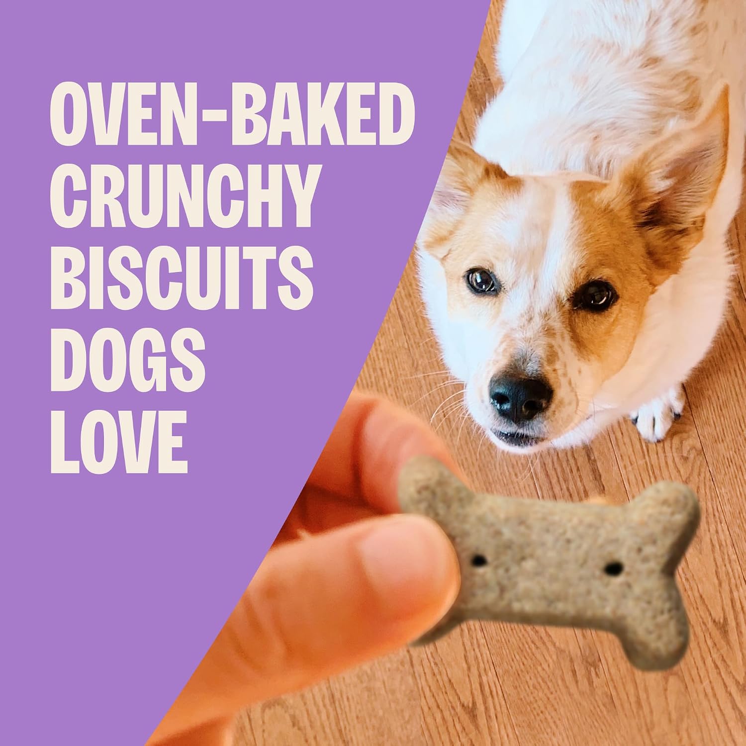 Wellness Old Mother Hubbard Classic Grain Free Pick of the Patch Dog Biscuits, Natural Training Treats, Pumpkin and Carrot Flavor, Mini Size. 16 oz Bag