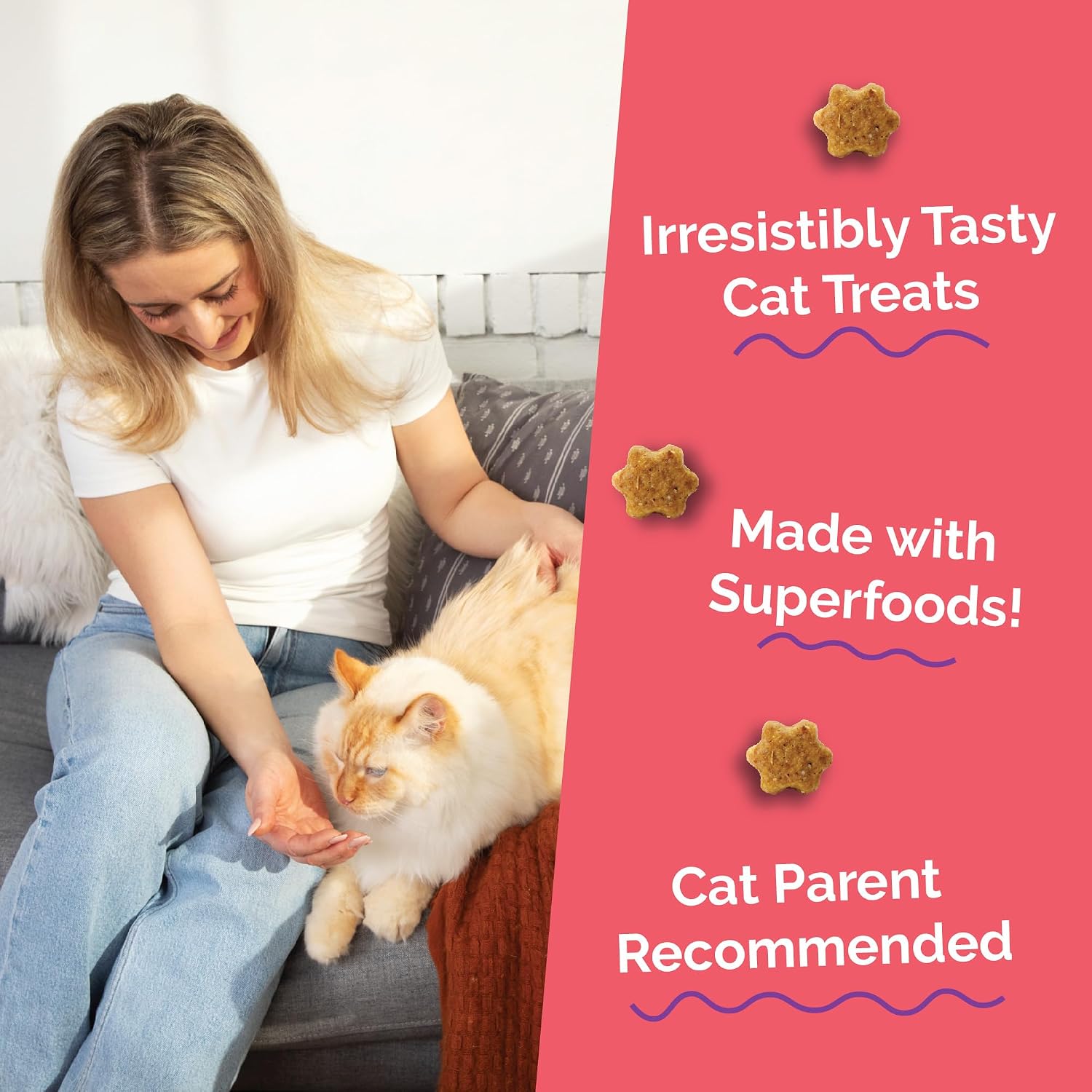 Fruitables Cat Treats, Healthy Treats for Cats, Low Calorie and Packed with Protein, Crunchy Biscuits, No Wheat, Corn or Soy, Made with Real Salmon and Cranberry, 2.5oz (Pack of 10)