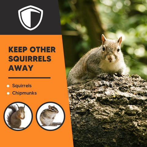 AJOQFKTD Squirrel Repellent Outdoor, Squirrel Deterrent for Garden- 8Packs