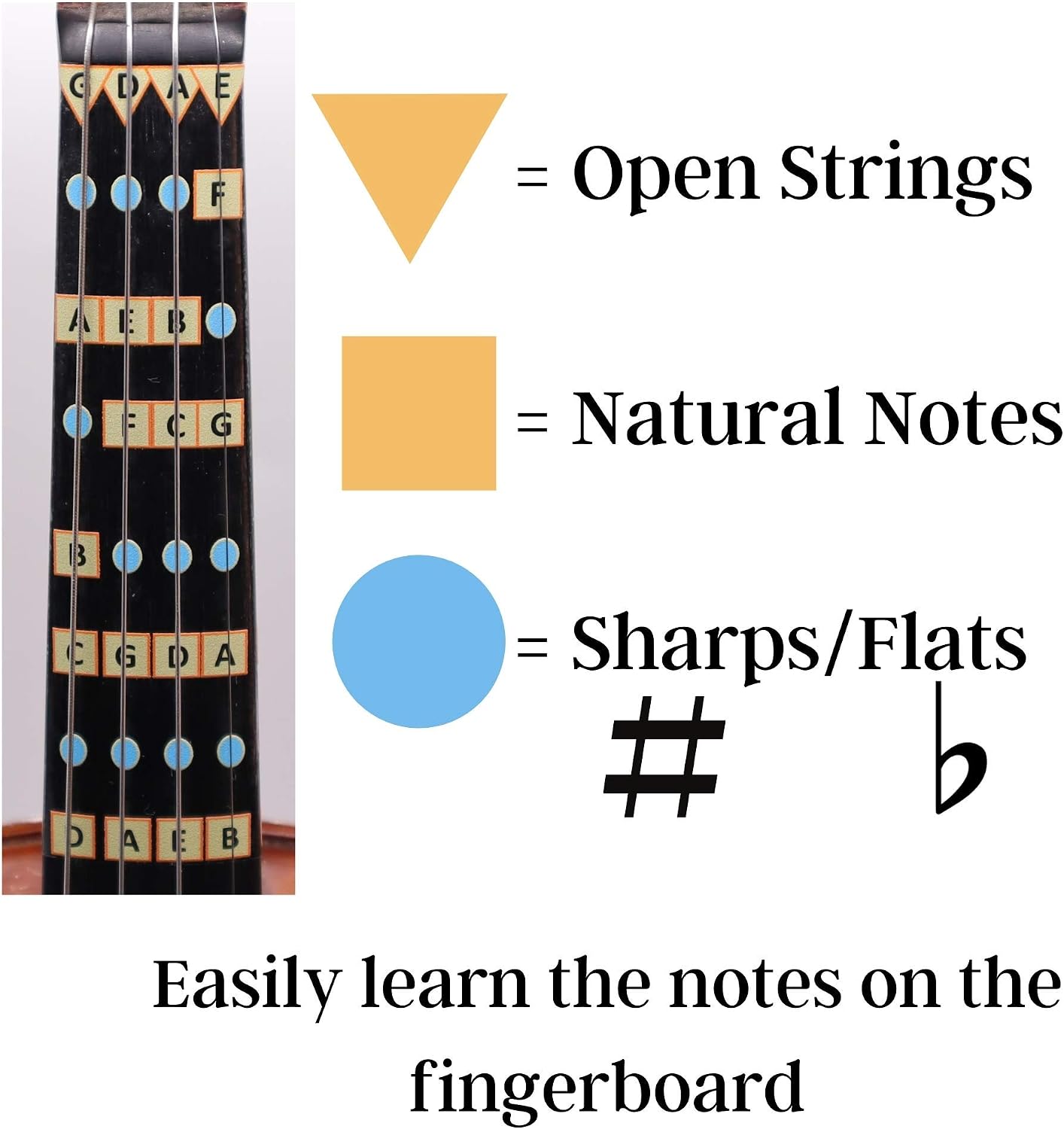 Fantastic Finger Guide for Violins Adult Beginner | Stringed Musical Instruments | Fingerboard and Fretboard Stickers for Learning All Notes | Play or Fiddle (3/4)