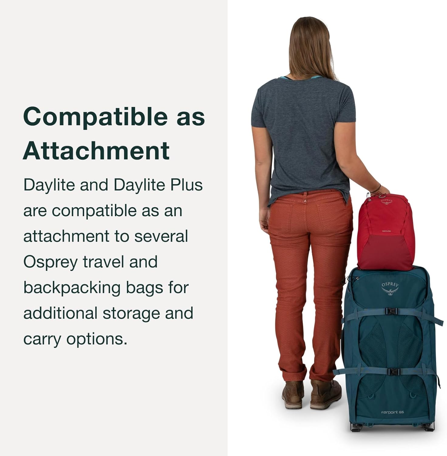 Osprey Daylite Plus Commuter Backpack – Lightweight, Everyday Pack with Laptop Sleeve and Water Bottle Pockets – Ideal for Work, School, and Travel with Versatile Storage Options, Wander Yellow