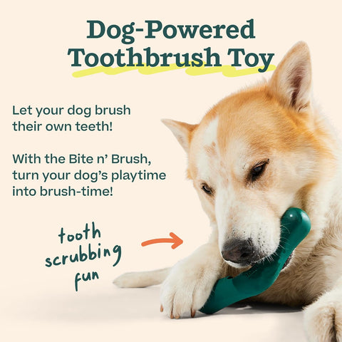WOOF Bite n' Brush Dog Dental Stick Refills for Chew Toy, Chicken, 18 Count
