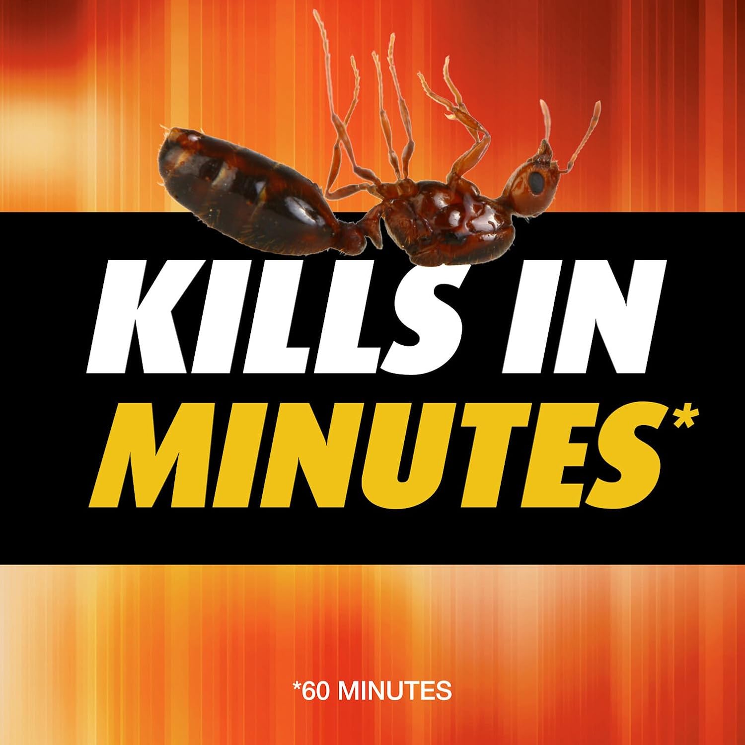 Ortho Orthene Fire Ant Killer1, 12 oz (2-Pack), 680g