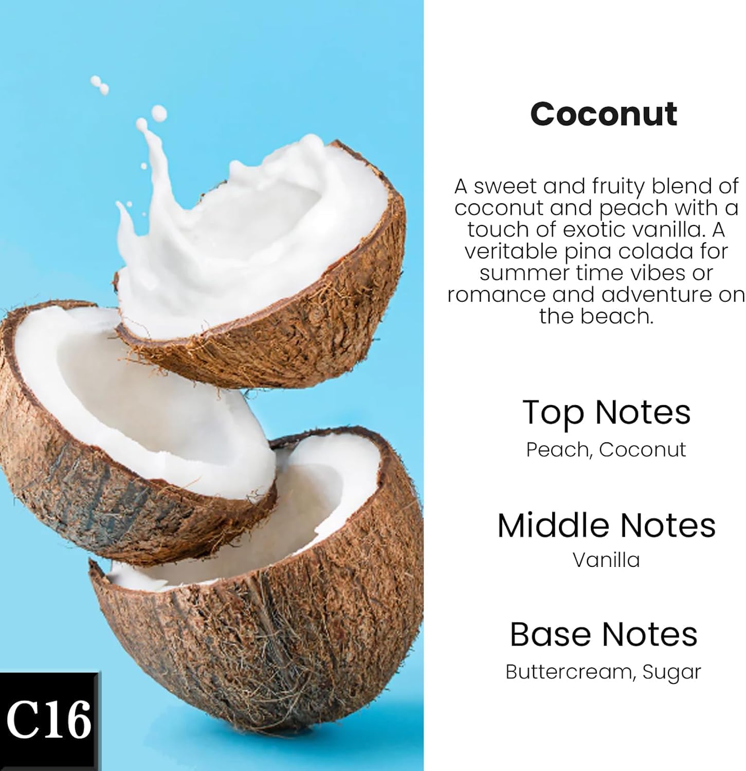 HoogaLife Car Air Freshener Diffuser 2 Pack Hanging Air Freshener Diffuser - Coconut Fragrance Oil Air D iffuser for Car, 45+ Days Long Lasting Fragrance Made in USA (C16)