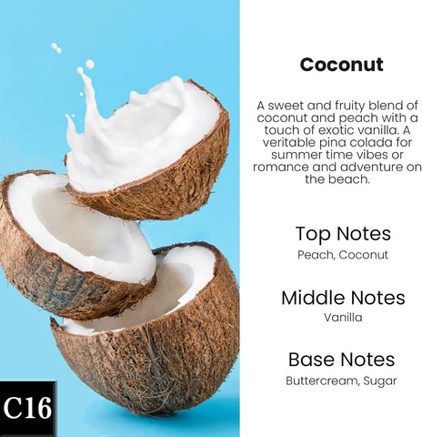 HoogaLife Car Air Freshener Diffuser 2 Pack Hanging Air Freshener Diffuser - Coconut Fragrance Oil Air D iffuser for Car, 45+ Days Long Lasting Fragrance Made in USA (C16)