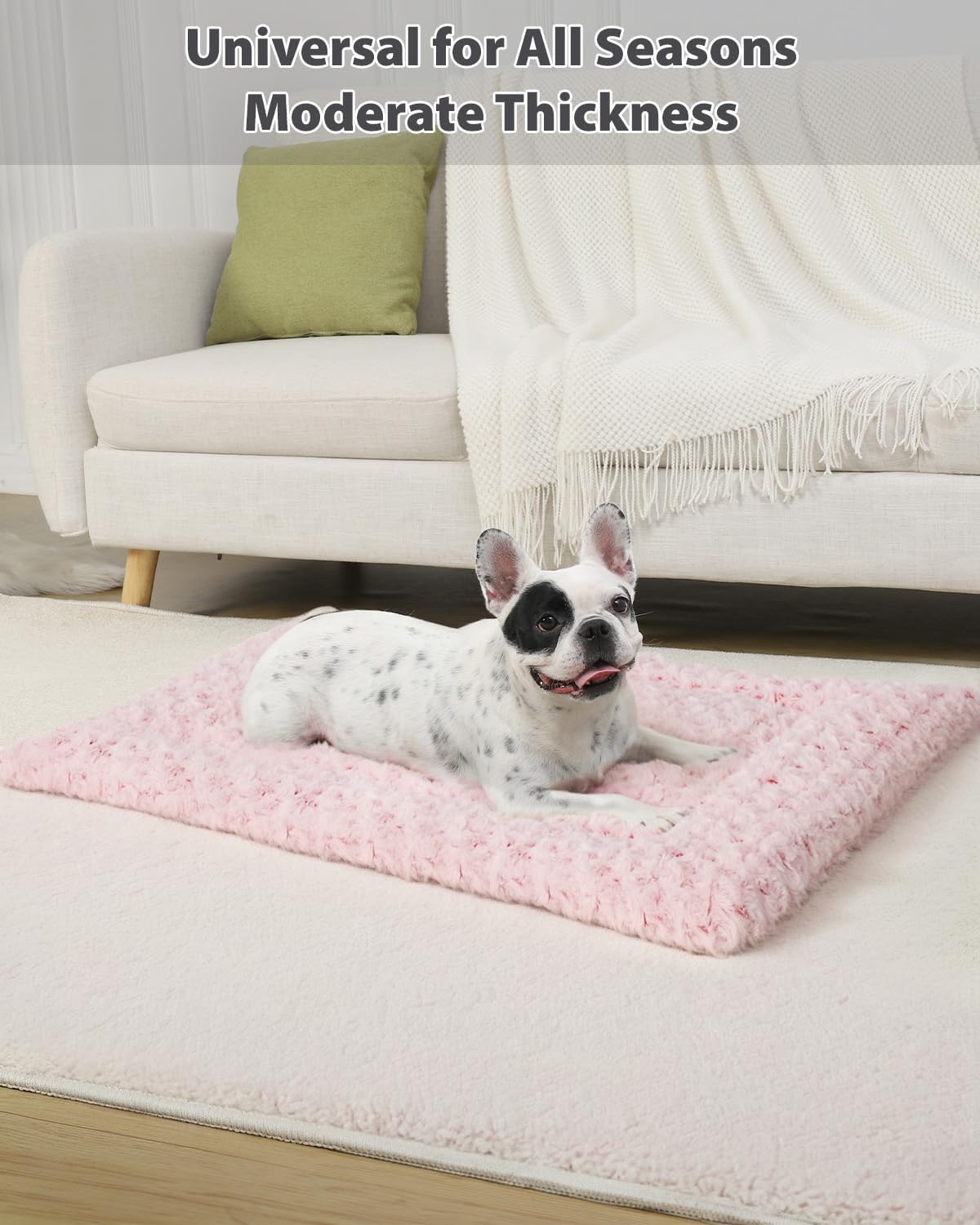 Exsnugy Washable Dog Bed Mat Large Size Fluffy Pet Crate Pad 42x28 XL