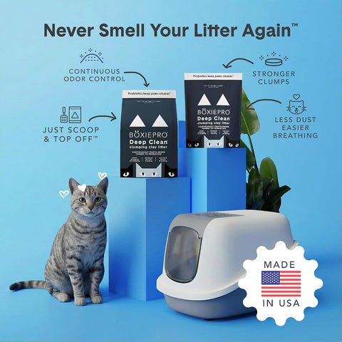 Boxie Probiotic Clumping Cat Litter 40+ Day Odor Control Dust Free 40 lb