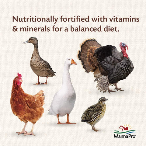 Manna Pro All Flock Crumbles with Probiotics, Chicken & Duck Food, 8 lb Bag