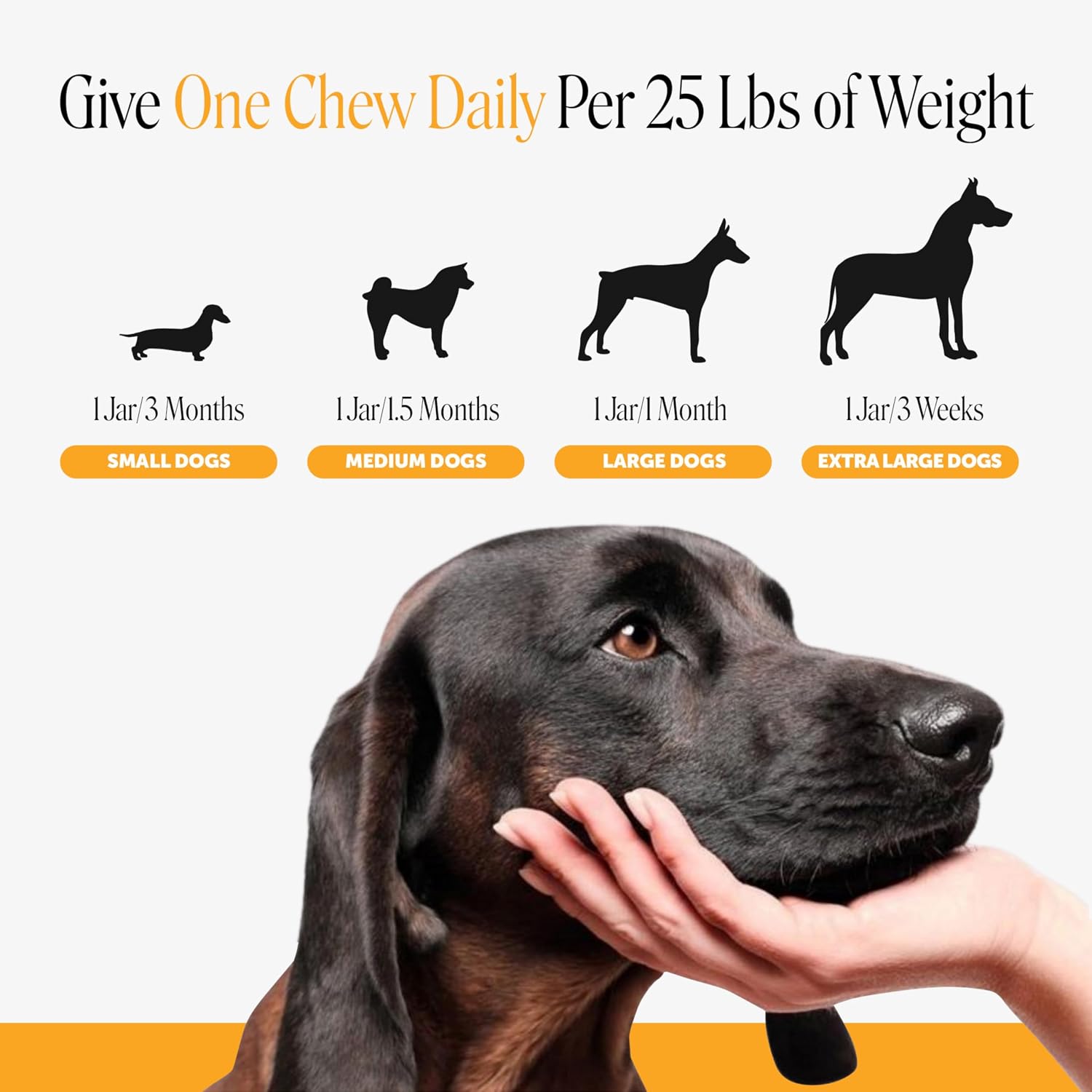 Pet Honesty Dog Allergy Chews for Itch & Allergy Relief, Salmon, 90ct