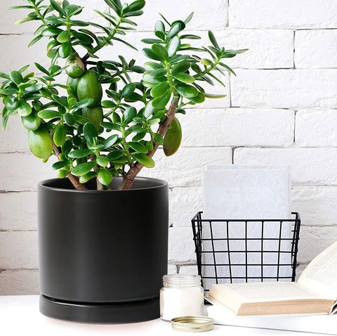 Yukfona Ceramic Plant Saucer Tray 2 Pcs 8 Inch Black, 8.5" OD x8.15 ID x1 Deep| Fits Flower pots Bottom≤ 8.15", Heavy Duty Glazed Round Planter Drip with Catch Basin for Indoor Outdoor Plants
