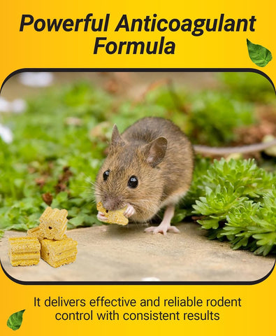 Kaput Mouse Blocks, Rodent Bait for Mice & Rats, Warfarin Vole Killer for Indoor/Perimeter Use, Kills Rodents with Consistent Feeding - Ideal for Homes, Farms & Transport Areas (4 lbs)