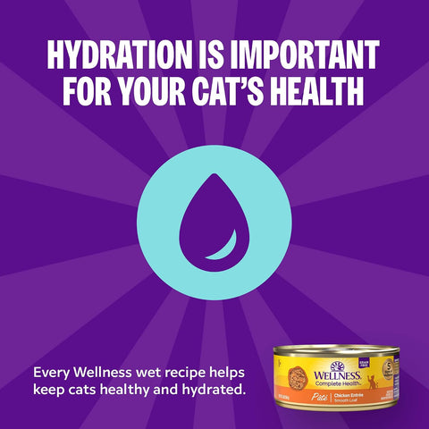 Wellness Complete Health Gravy and Minced Variety Pack Adult Canned Wet Cat Food, Natural, Protein Rich, Grain Free, Chicken and Turkey Lovers, 3 oz, Pack of 24 Cans