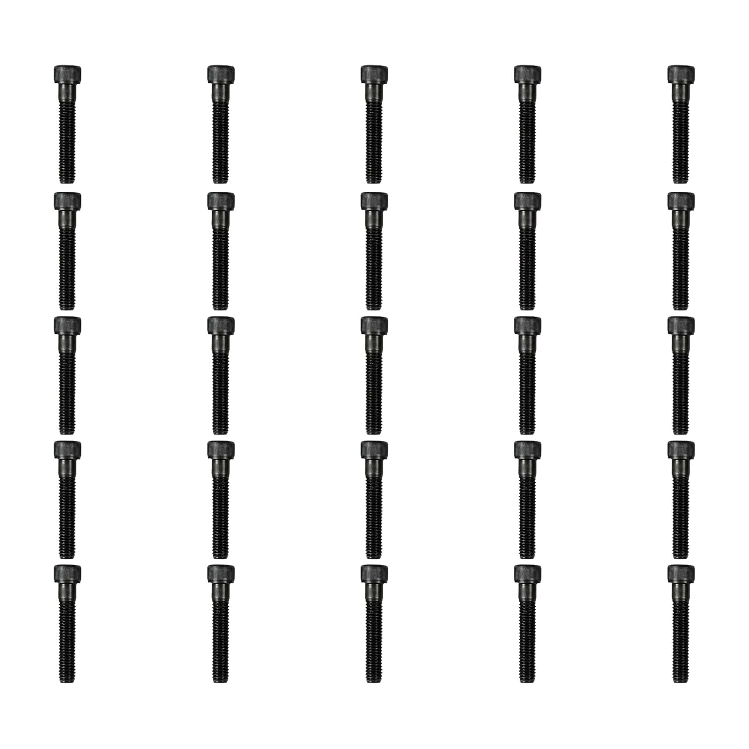 Atomik 3/8 x 2 inch Long Alloy Steel Bolts 50 Pack Durable Hardware for Rock Climbing Holds 3/8-16 Socket Head Allen Bolt Designed for Indoor Use Wall Supplies