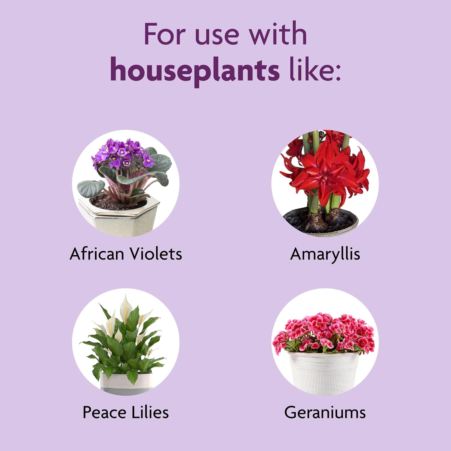 Miracle-Gro Blooming Houseplant Food, 8 fl. oz.