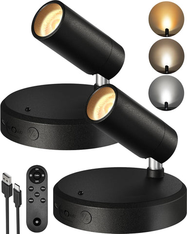 EZVALO Indoor Spotlights, Picture Lights for Wall, Uplights