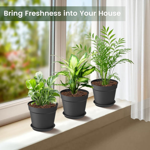 SwinDuck 10 Pack 6 Inch Plant Pots with Drainage and Saucers, Black Plastic Flower Pots for Indoor and Outdoor Plants, Stackable Nursery Planters for Houseplants and Herbs, Black