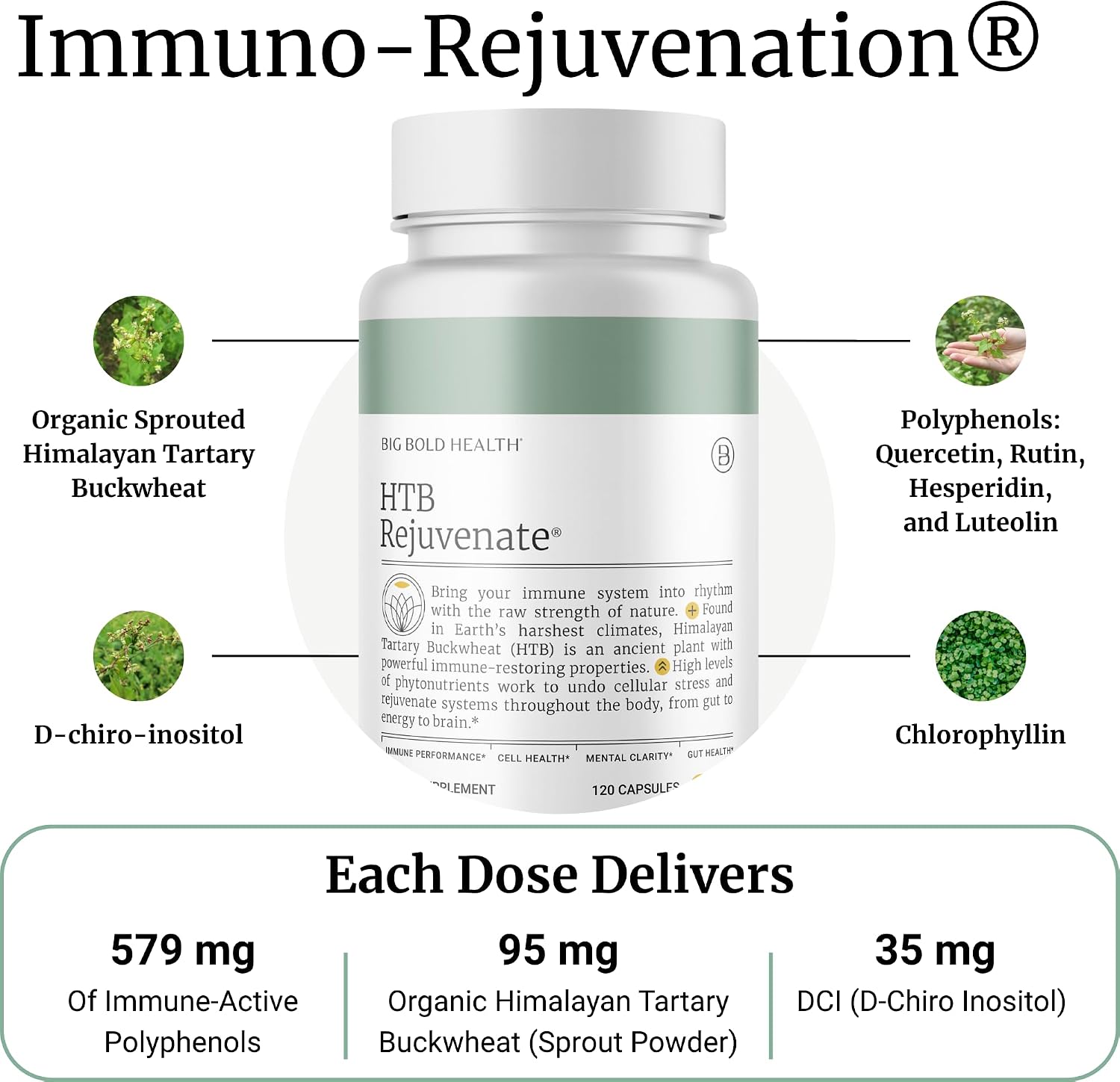 BIG BOLD HEALTH HTB Immune Rejuvenate - Himalayan Tartary Buckwheat - Polyphenols Supplement for Immune Support - Gluten Free, Dairy Free, Non-GMO Formula - 120 Vegetarian Capsules (2 Month Supply)