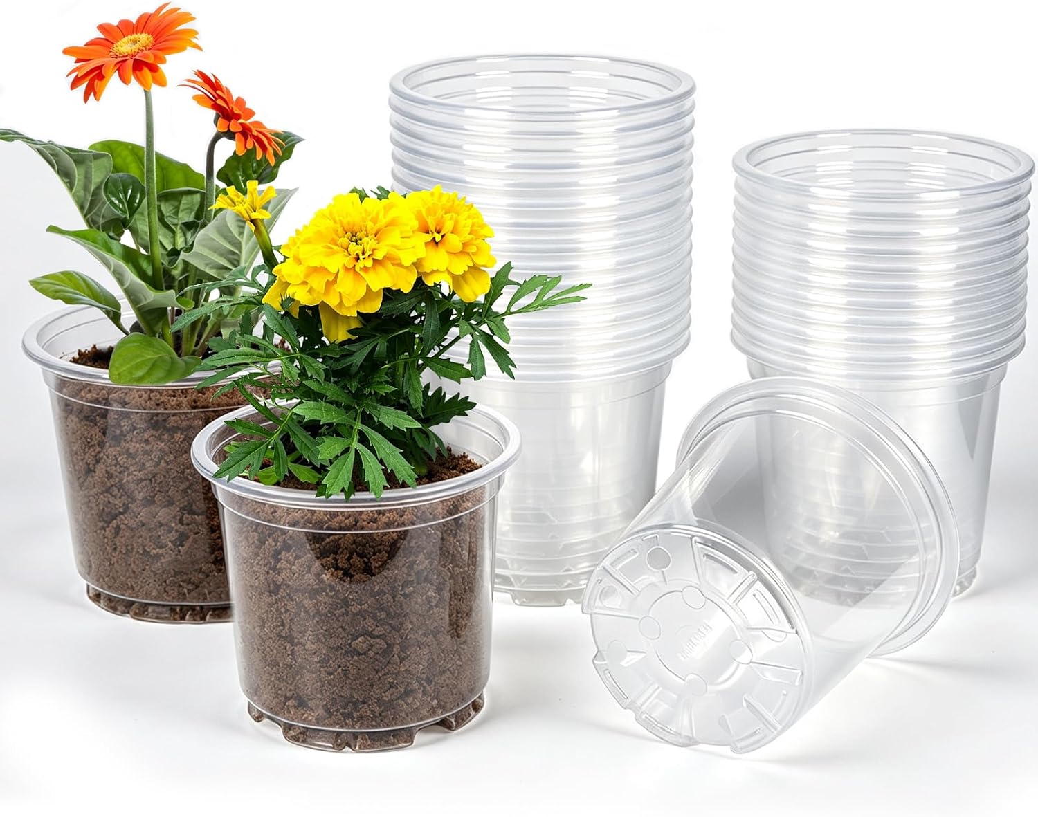 JERIA 30 Pack 5 Inch Clear Nursery Pots with Drainage Holes, Clear Plant Pot for Planting, Transparent Plastic Plant Pots,Durable Seed Starting Pot for Succulents