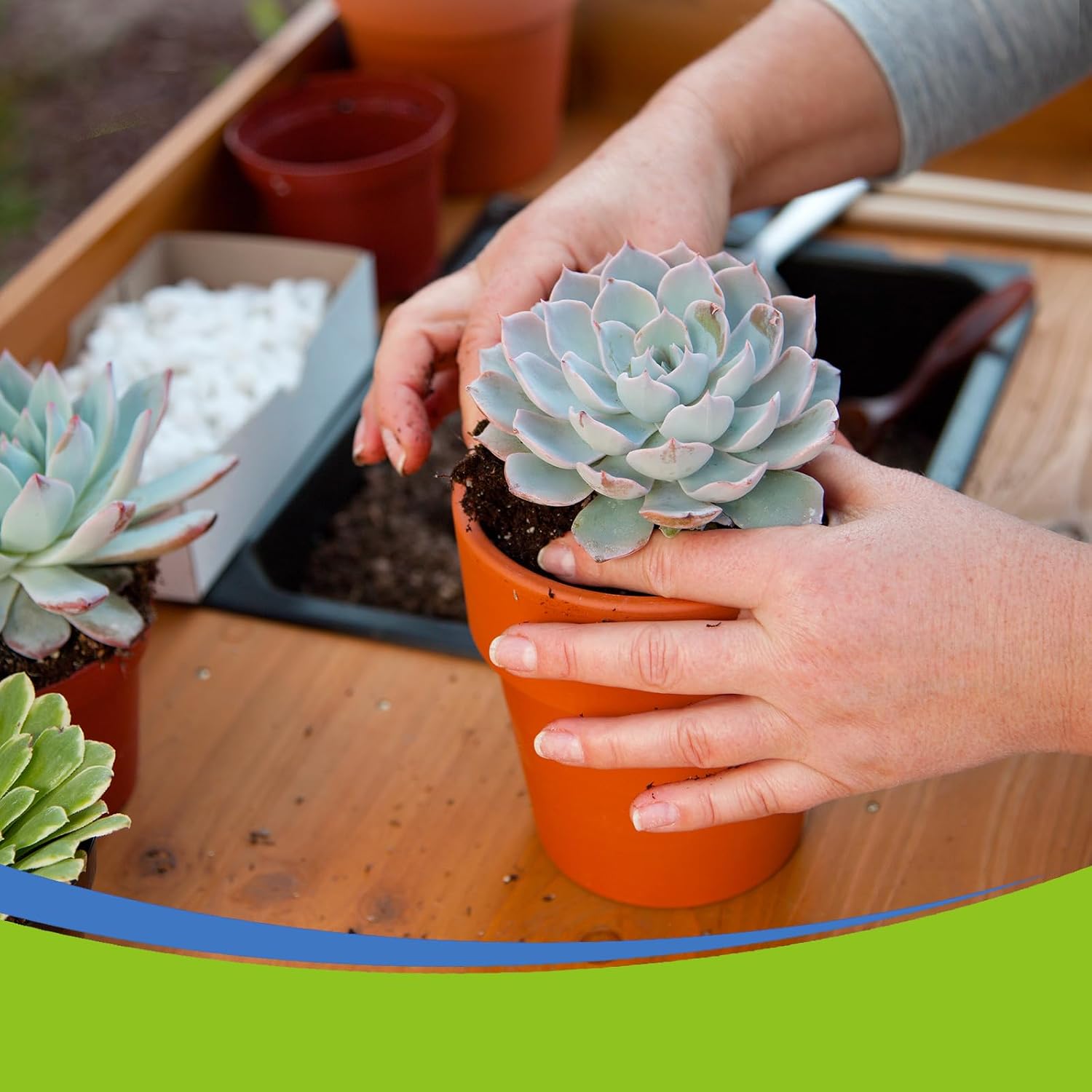 Succulent and Cactus Soil Potting Mix 4qt-Premium Breathable & Fast Draining for Healthy Plants