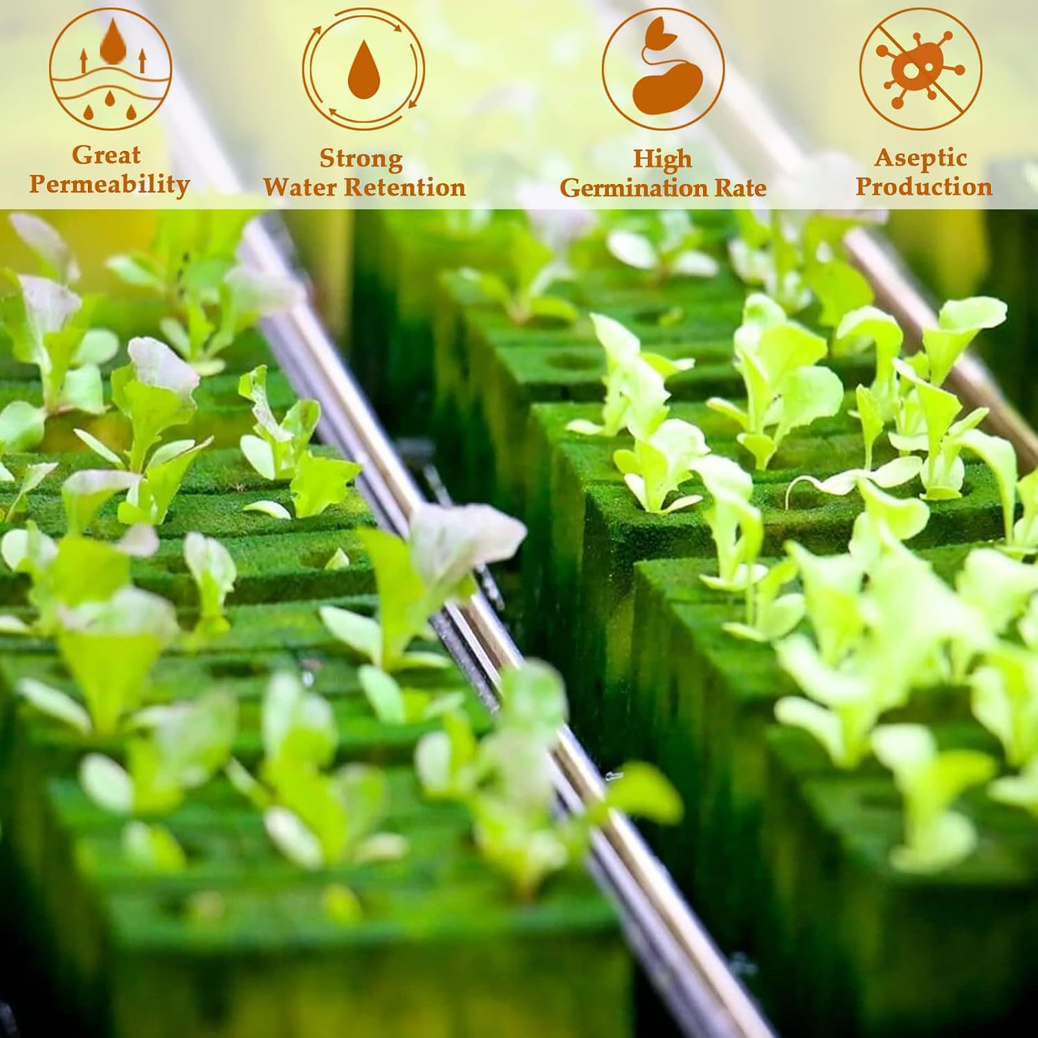 Legigo 1 Inch Rockwool Cubes Seed Starter Plugs for Hydroponics, 200 Plugs