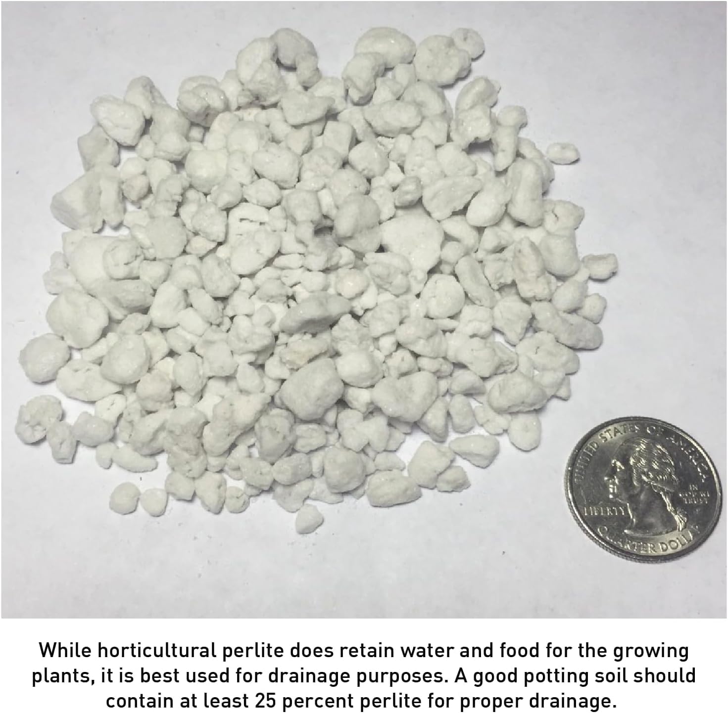 Norcal Perlite Horticultural Organic Certified Premium Screened Coarse Garden Indoor Outdoor Plants Soil and Drainage 4 Cubic Feet (103 Quarts) 1 Bag NEW