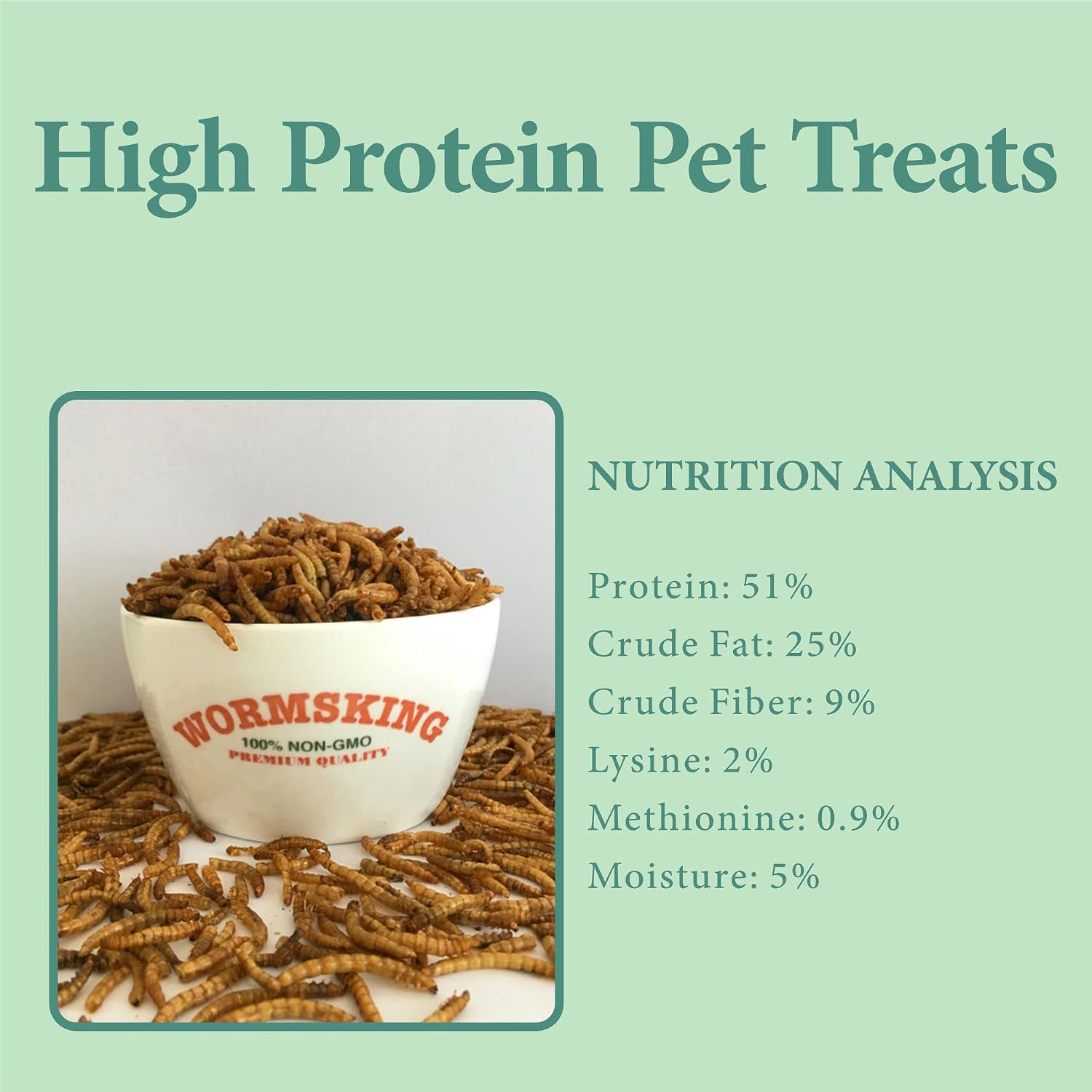WORMSKING Dried Mealworms for Wild Birds and Chicken, 2LB