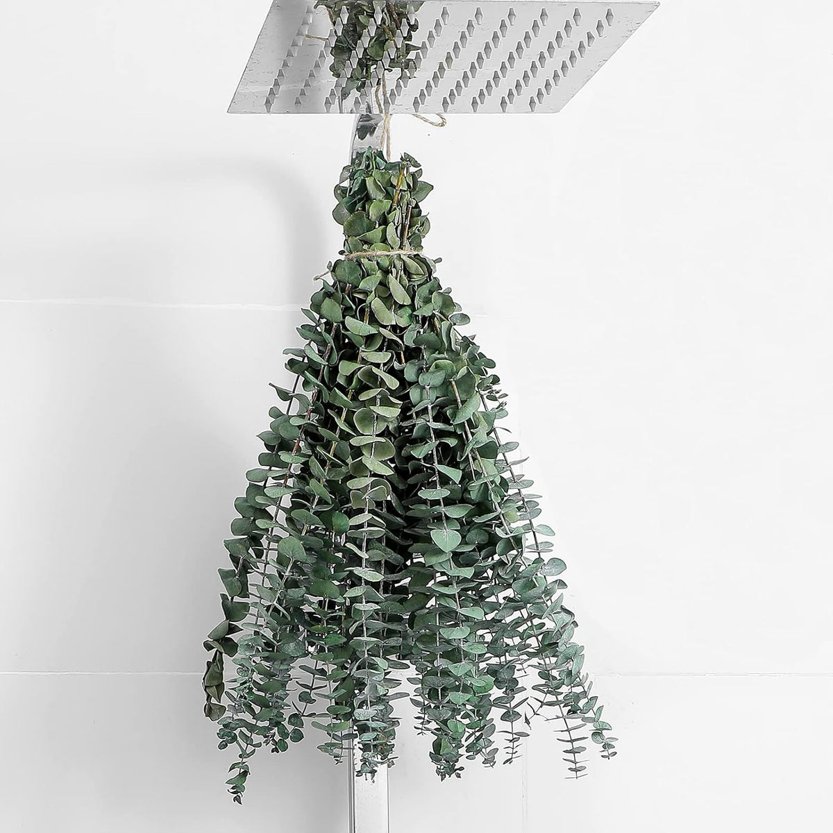 12 Pcs Eucalyptus for Shower Hanging 17" Real Eucalyptus Stems