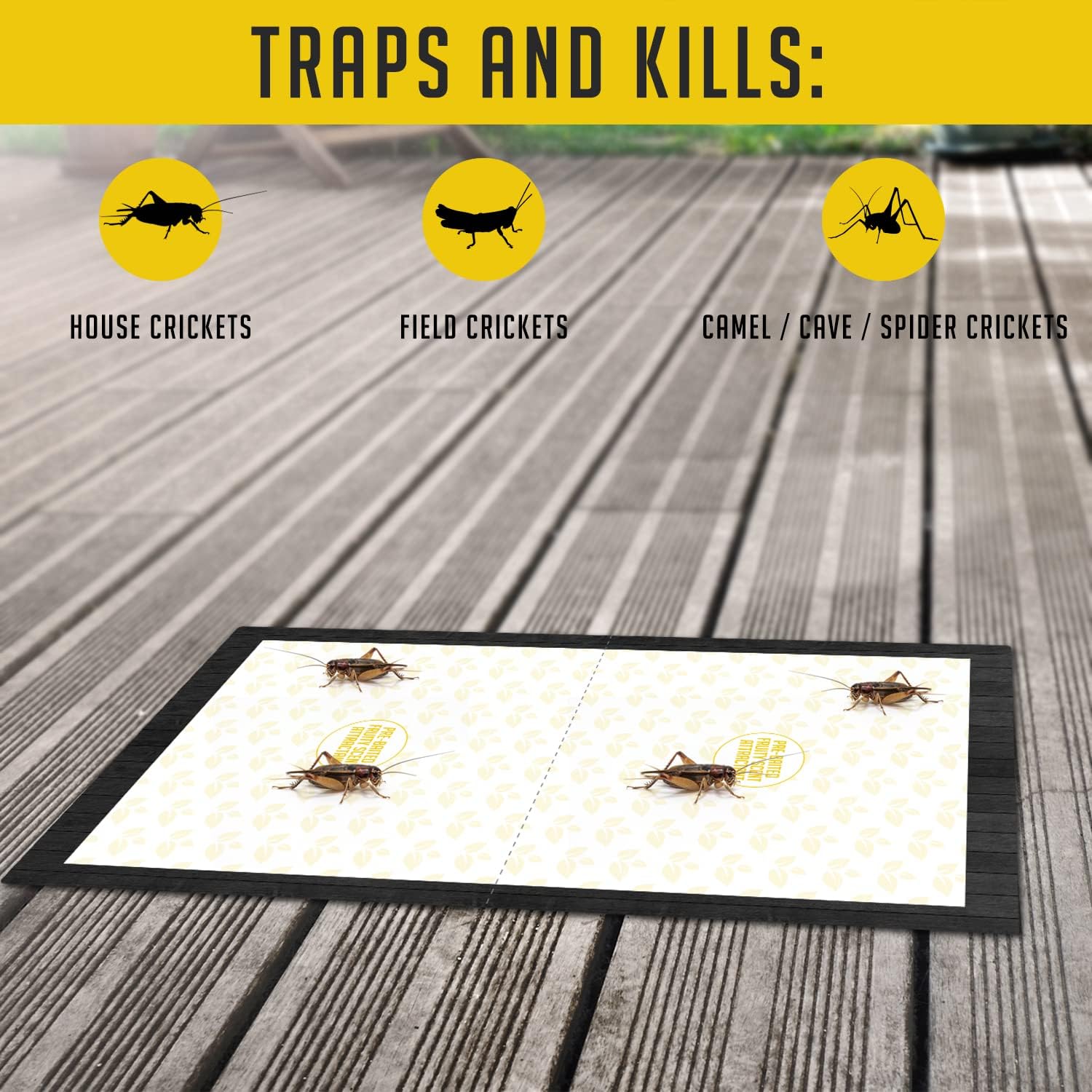 Trap a Pest Extra Large Cricket Traps - Fruity Scent - 12 Pack