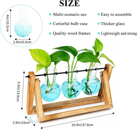 XXXFLOWER Plant Terrarium Kit with Wooden Stand 3 Gradient Blue Bulb Vases
