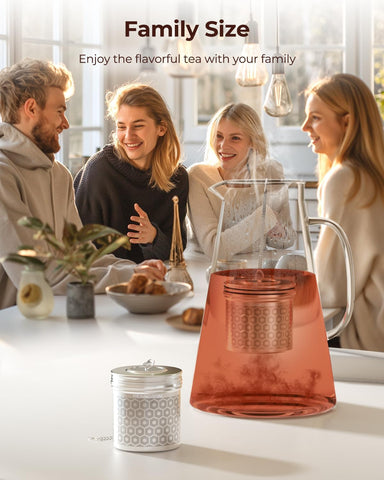 Reinmoson Extra Large Tea Infuser for Loose Tea & Spice Ball for Cooking