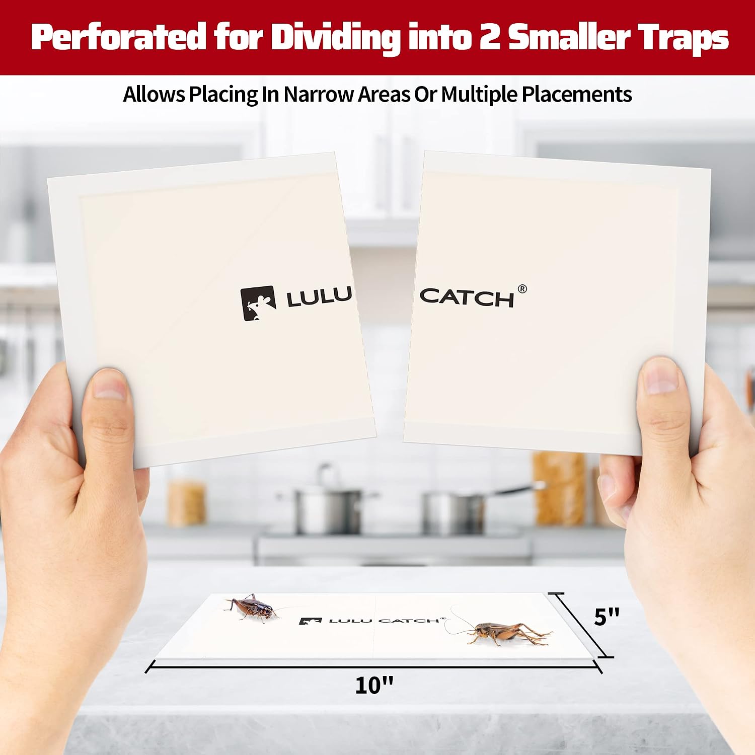 LULUCATCH Cricket Insect Glue Traps - 24 Pack Bug Cockroach Sticky Traps, Large Spider Trap with Pre-Baited Attractant, Highly Effective Glue Boards Indoor, Non-Toxic Pet Safe, Easy to Use