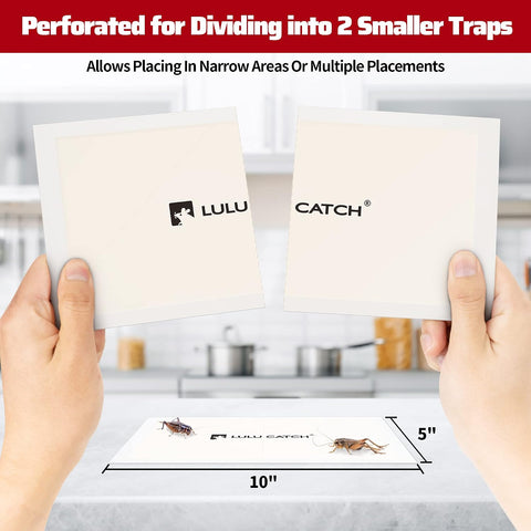 LULUCATCH Cricket Insect Glue Traps - 24 Pack Bug Cockroach Sticky Traps, Large Spider Trap with Pre-Baited Attractant, Highly Effective Glue Boards Indoor, Non-Toxic Pet Safe, Easy to Use