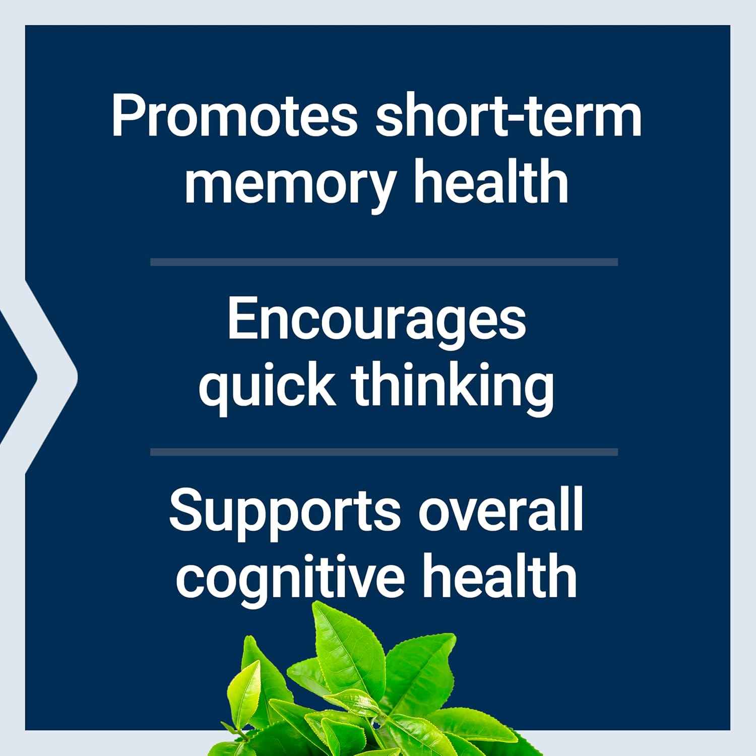Neuro-Mag Magnesium L-Threonate, Memory Health, Quick Thinking, Cognitive Health Support, Vegetarian, 90 Vegetarian Capsules