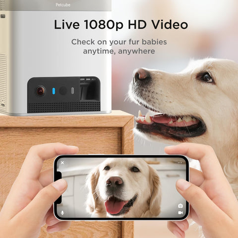 Petcube Bites 2 Lite - WiFi Pet Camera with Treat Dispenser & App
