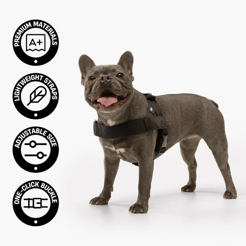 Dog Friendly Co. Dog Harness for Large Sized Dogs (Black, Extra Large)