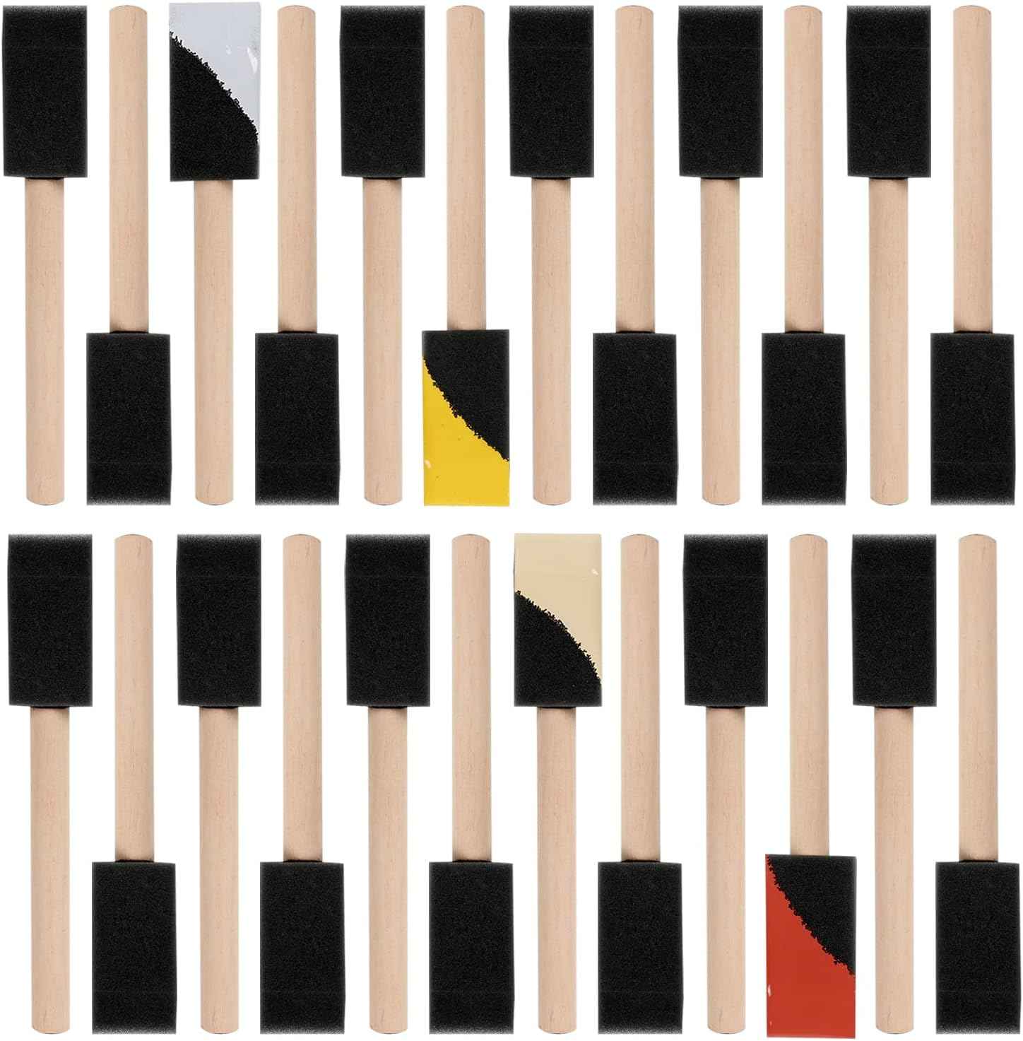 Mister Rui 24 Pack 1 Inch Foam Paint Brushes for Painting and Cleaning