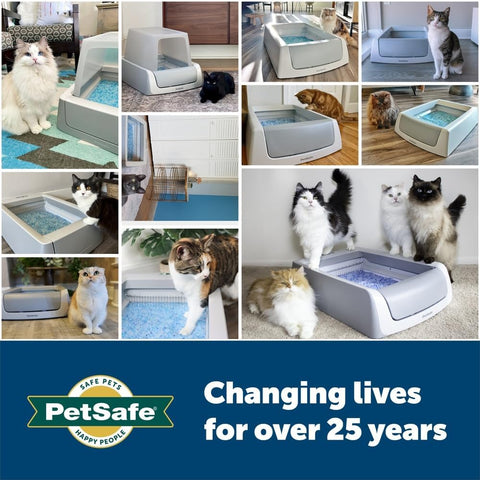 PetSafe Official ScoopFree Complete Reusable Tray - Includes 4.3 lb of Premium Blue Crystal Litter - Compatible with All ScoopFree Complete Automatic Self Cleaning Litter Box Systems