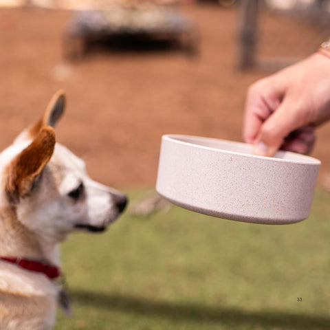 Loving Pets - Dolce Bamboo - Eco-Friendly Pet Bowls & Dishes for Dog, Cats, Puppy Food and Water Dish -Sustainable and Dishwasher Safe, Made with Real Bamboo (Medium, Oat-Beige)