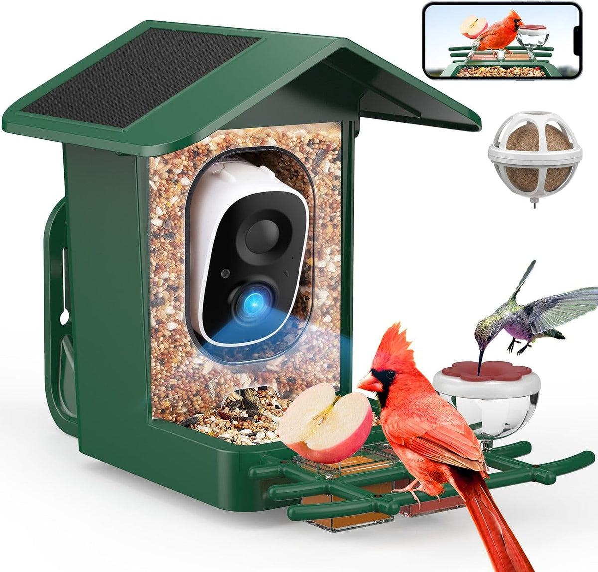 PeckCam® Bird Feeder with Camera Solar Powered 2K Live Video Auto Capture