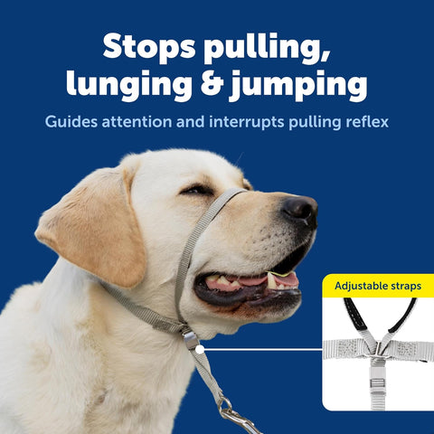 PetSafe Gentle Leader No Pull Dog Headcollar, Royal Blue, Medium