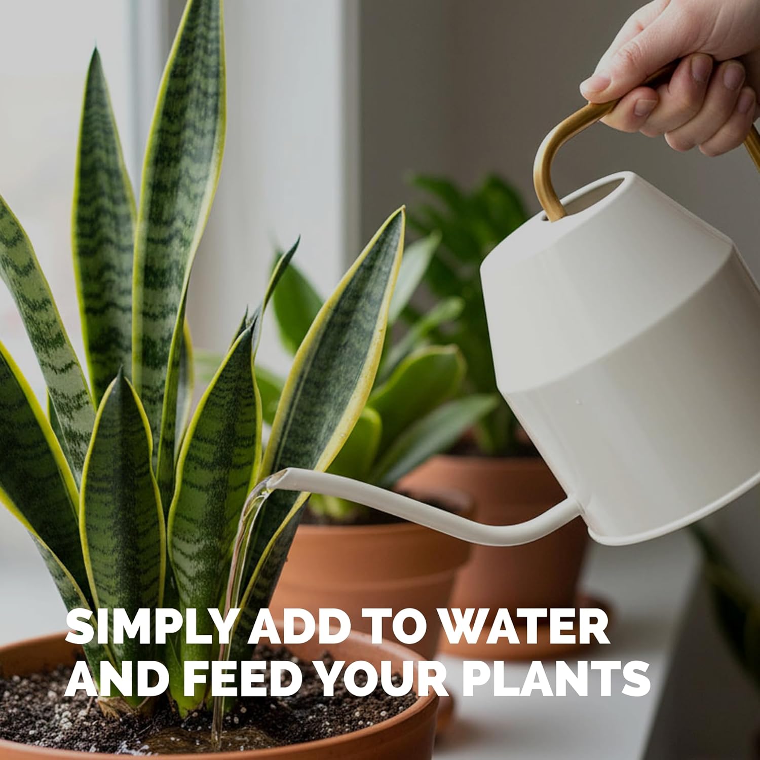 Indoor Plant Food, Complete Liquid Fertilizer for Houseplants, 8oz