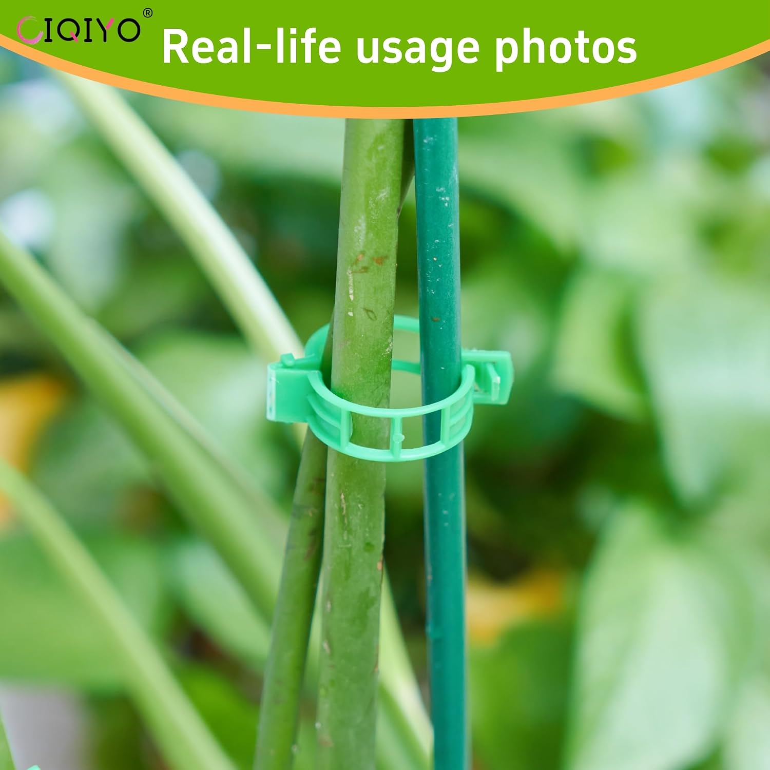 Plant Support Clips,Plastic Clips for Securing Plants,Tomato Vine Clips,Plant Fixing Clips,Garden Clips for Climbing Plants,Grape and Vine Vegetables (300, Light Green)