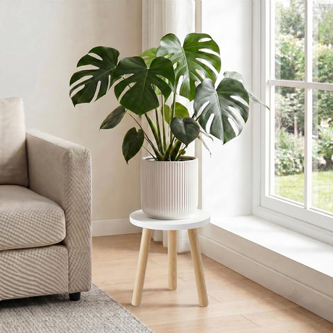 Wood Plant Stands Indoor, White Plant Stand Modern Plant Table for Large Plants, Wooden Plant Stool, Tall Plant Holder Small Round Side for Living Room, Balcony, Office (1 Pack)