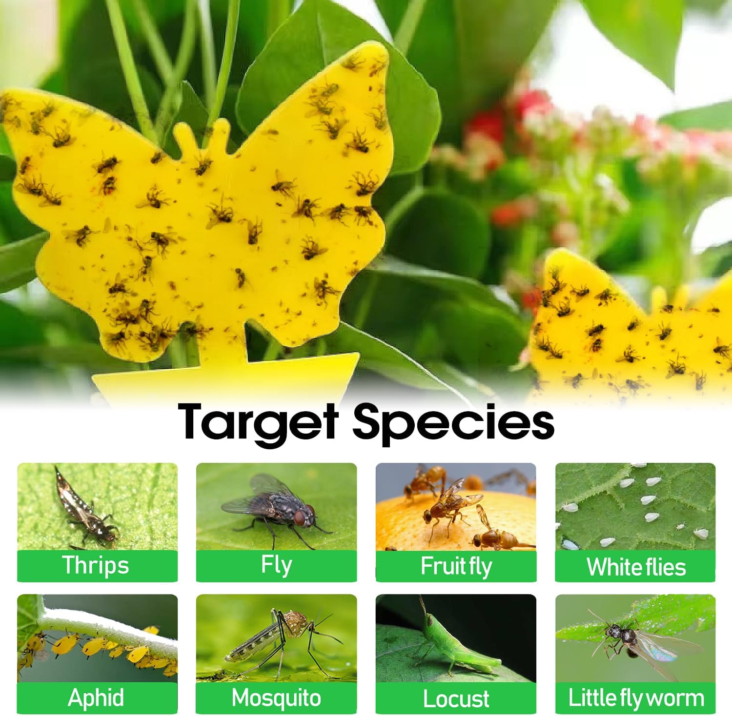 58 Pack Yellow Sticky Gnat Traps for Plants - Fungus Gnat Killer, Fruit Fly Traps for Indoors, Gnat Sticky Traps for Plants, Family Friendly Design, Sunflower + Butterfly Shapes