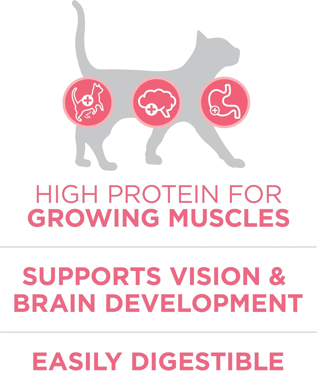 Purina ONE High Protein Natural Kitten Dry Cat Food, 7 lb Bag