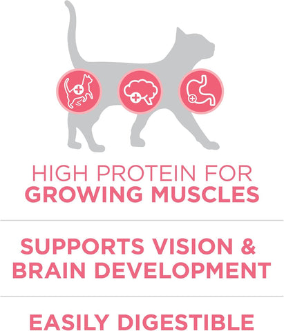 Purina ONE High Protein Natural Kitten Dry Cat Food, 7 lb Bag