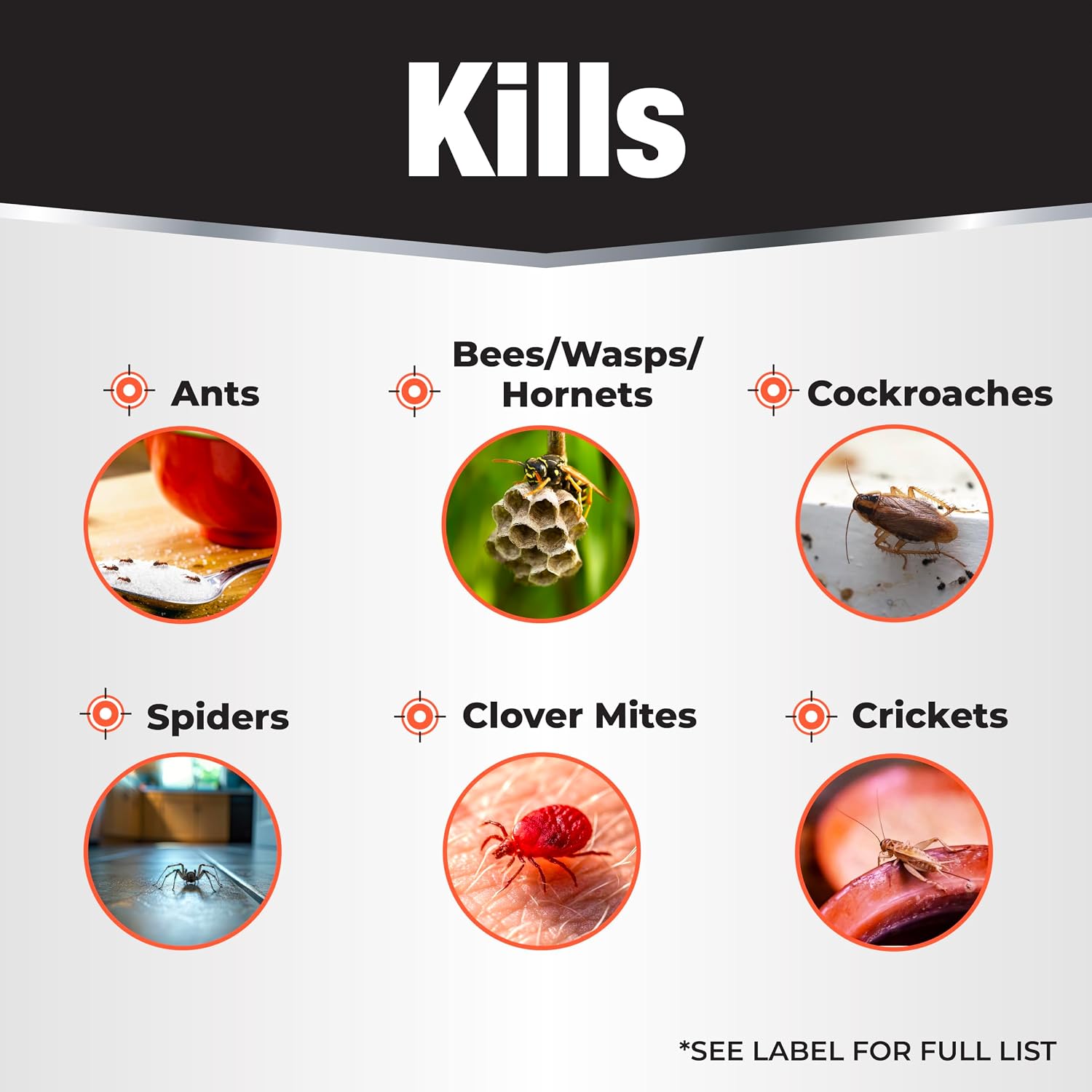 Revenge Spider & Ground Bee Killer, 10 oz Ready-to-Use Dust Treatment