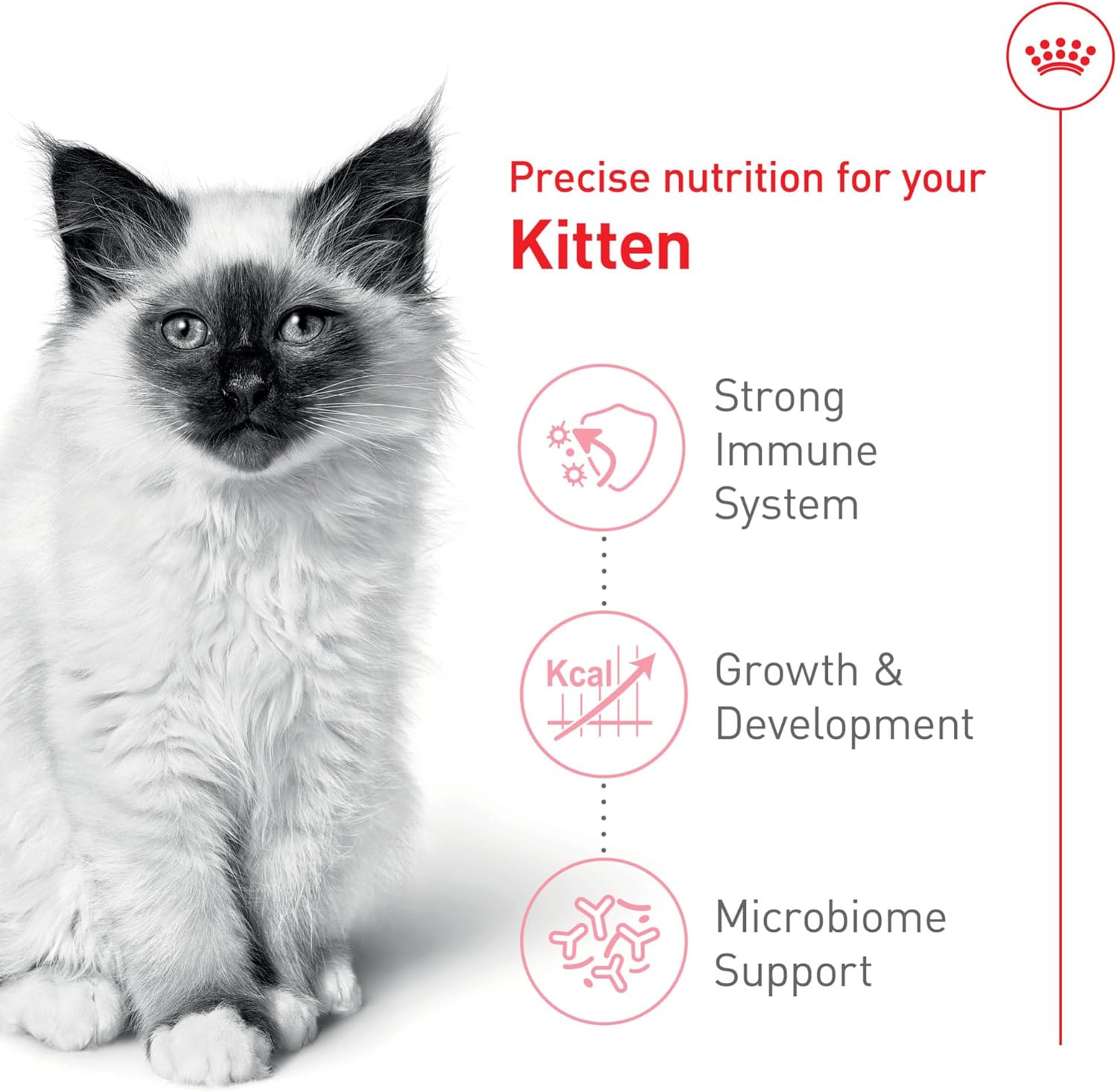 Royal Canin Feline Health Nutrition Dry Kitten Food, Supports Digestive Health, Immune Support and Healthy Energy, 3 lb Bag