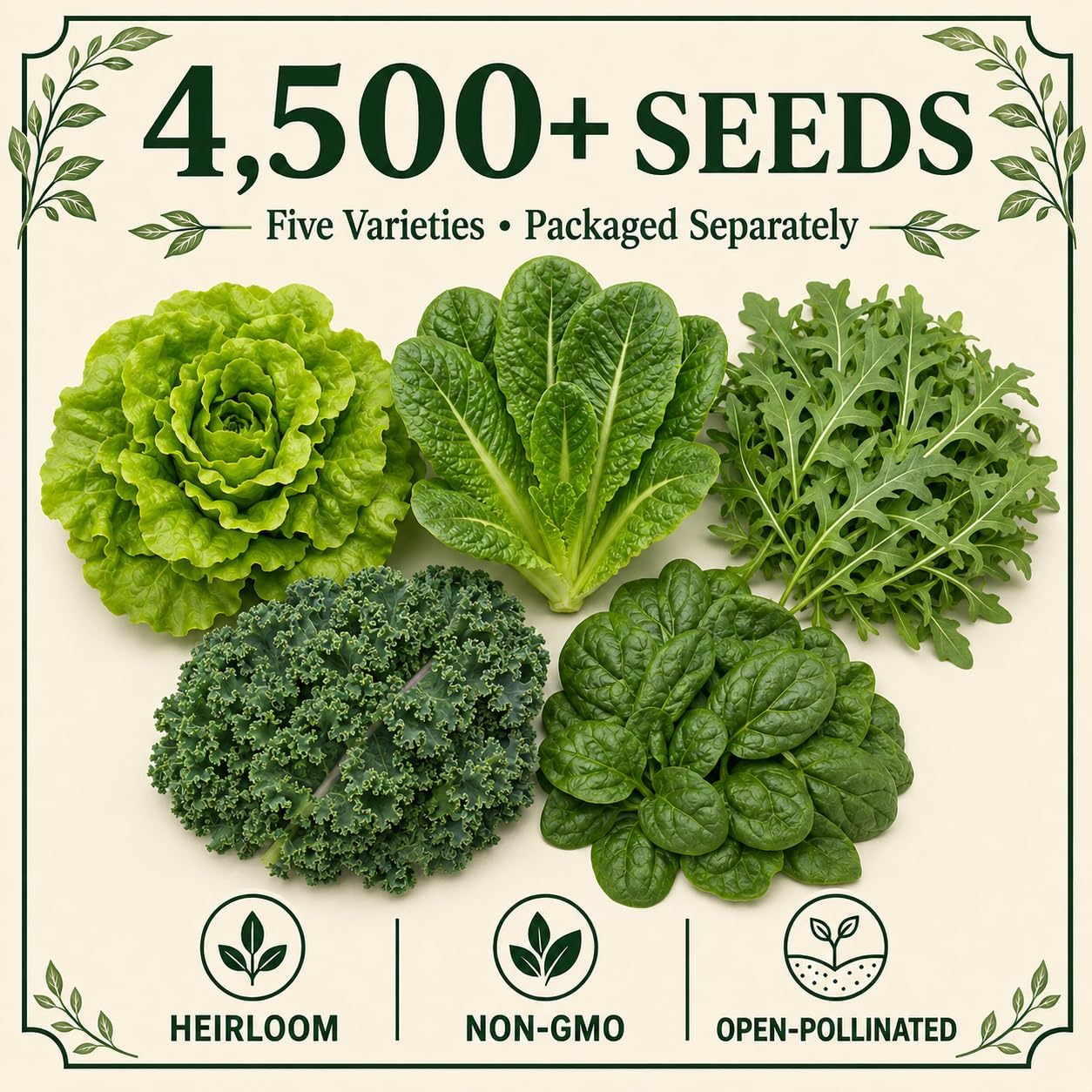 Gardeners Basics Lettuce Seeds for Planting, Kale, Spinach and Arugula
