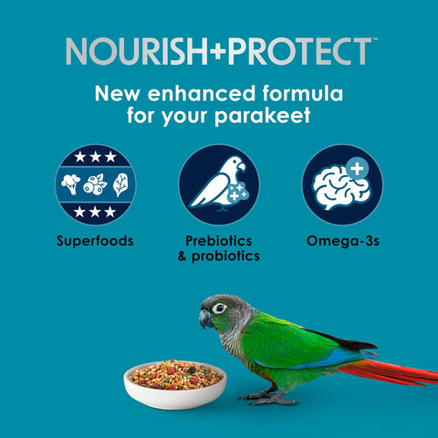 Kaytee Forti-Diet Pro Health Nourish+Protect Parakeet Food, Comprehensive Nutrition Backed by Science, Digestive Health, Immune Support, 2 pounds (Pack of 6)